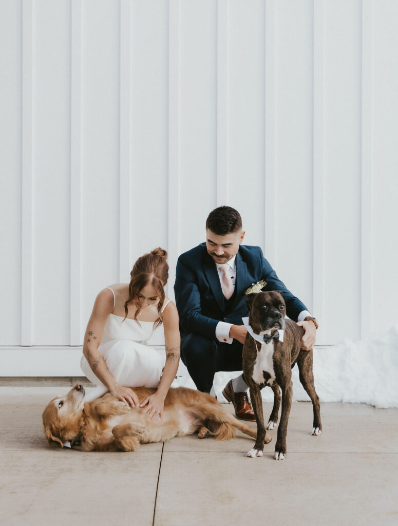 wedding photos with dogs inspiration